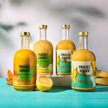 Load image into Gallery viewer, Pakket in de mix No2 -Sap - Paulies Ginger

